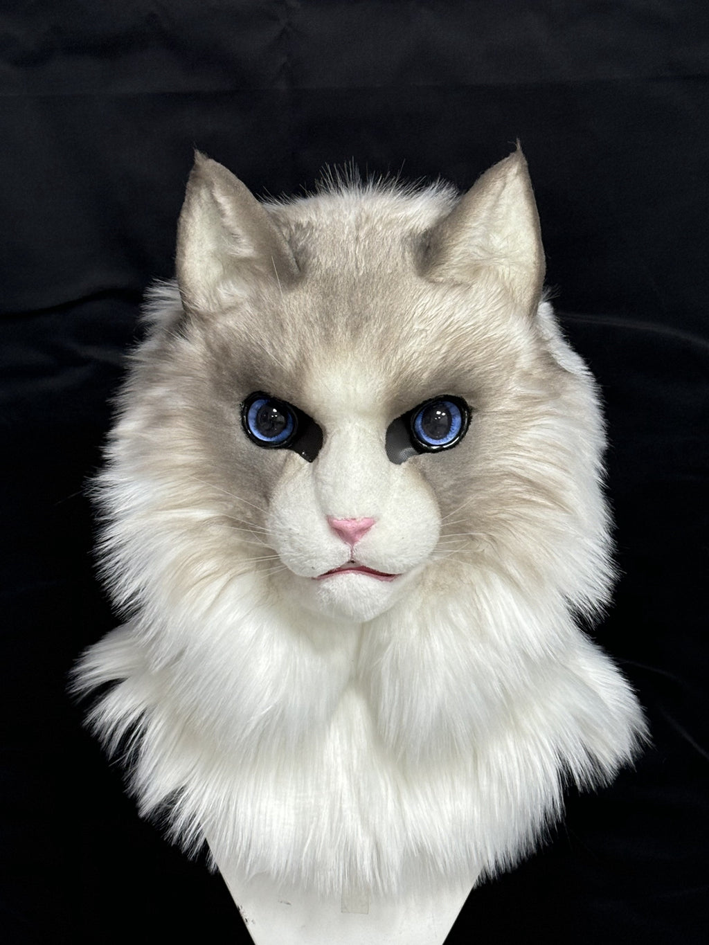 [Premade]Ragdoll Cat Movable Jaw Realistic Fursuit Head Costumes Headdress