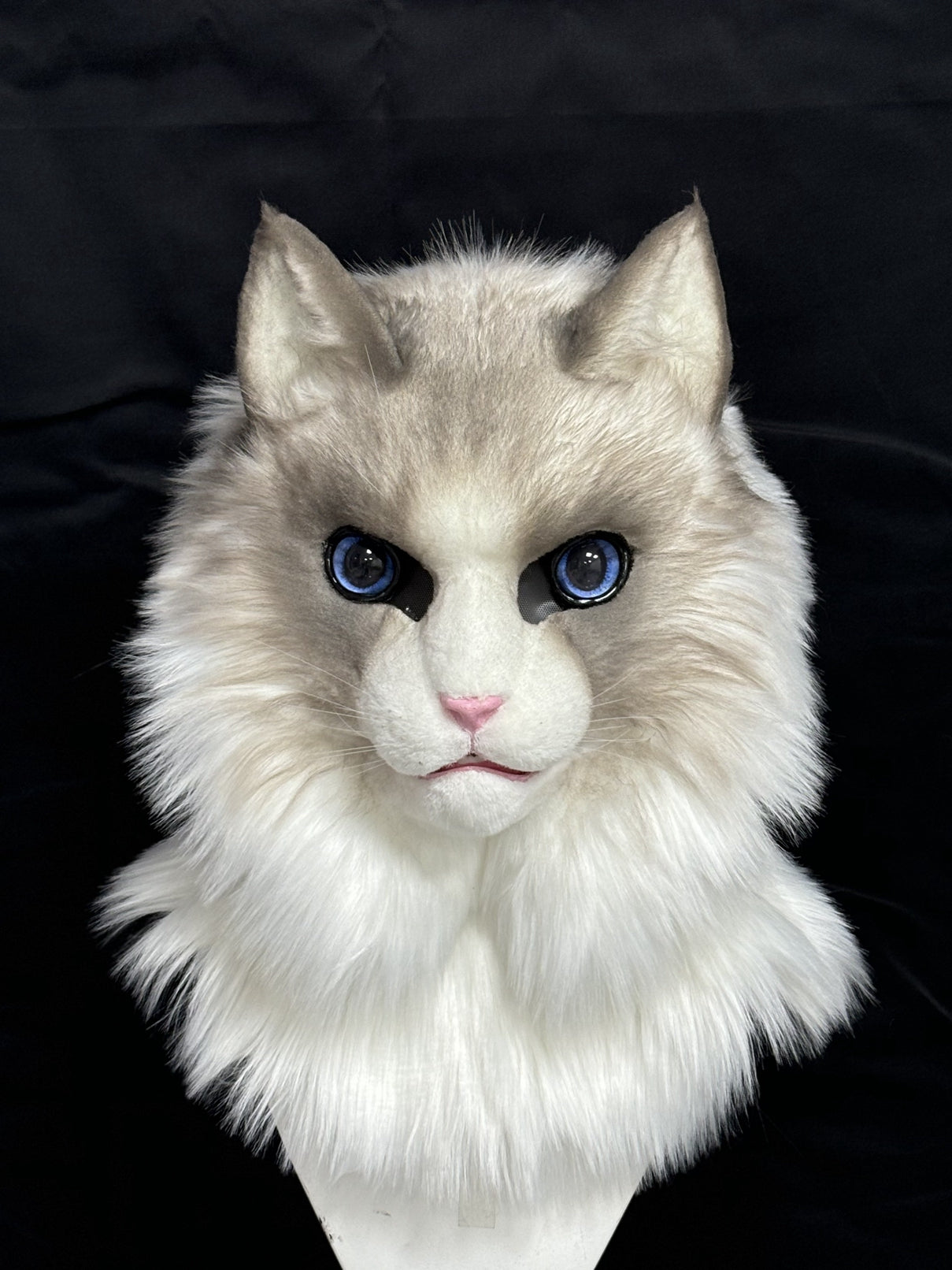 [Premade]Ragdoll Cat Movable Jaw Realistic Fursuit Head Costumes Headdress