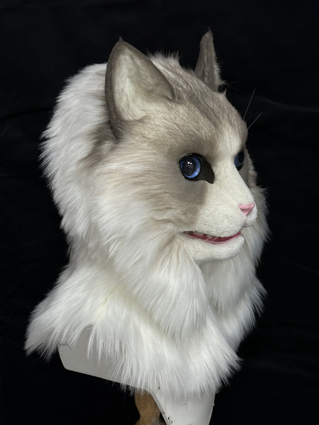 [Premade]Ragdoll Cat Movable Jaw Realistic Fursuit Head Costumes Headdress
