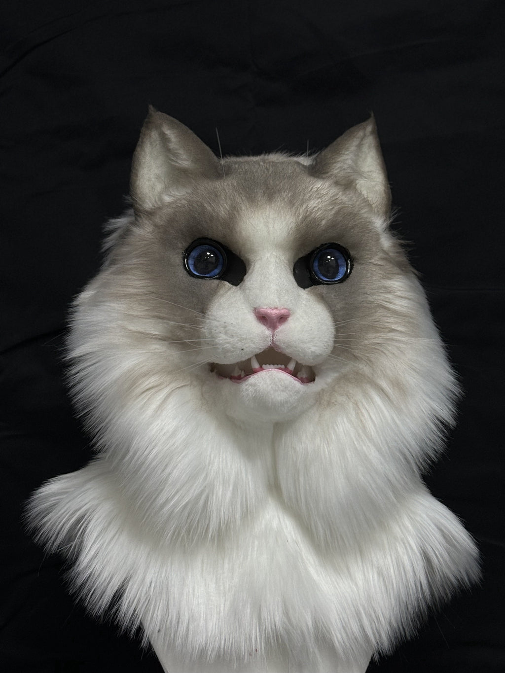[Premade]Ragdoll Cat Movable Jaw Realistic Fursuit Head Costumes Headdress