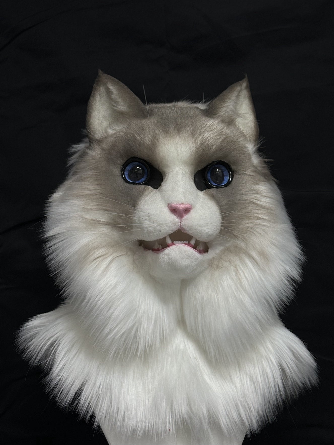 [Premade]Ragdoll Cat Movable Jaw Realistic Fursuit Head Costumes Headdress