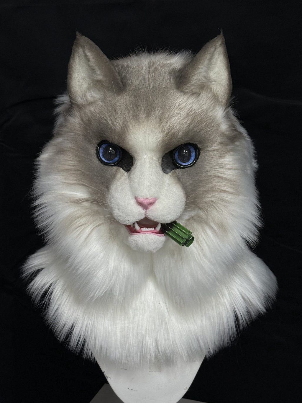 [Premade]Ragdoll Cat Movable Jaw Realistic Fursuit Head Costumes Headdress