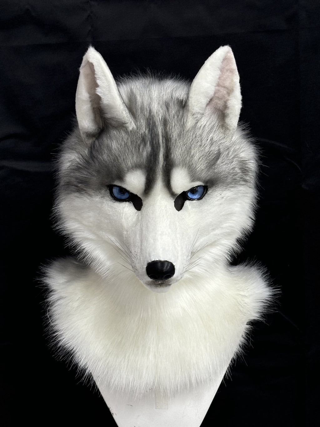 [Premade]Husky Dog Movable Jaw Realistic Fursuit Head Costumes Headdress