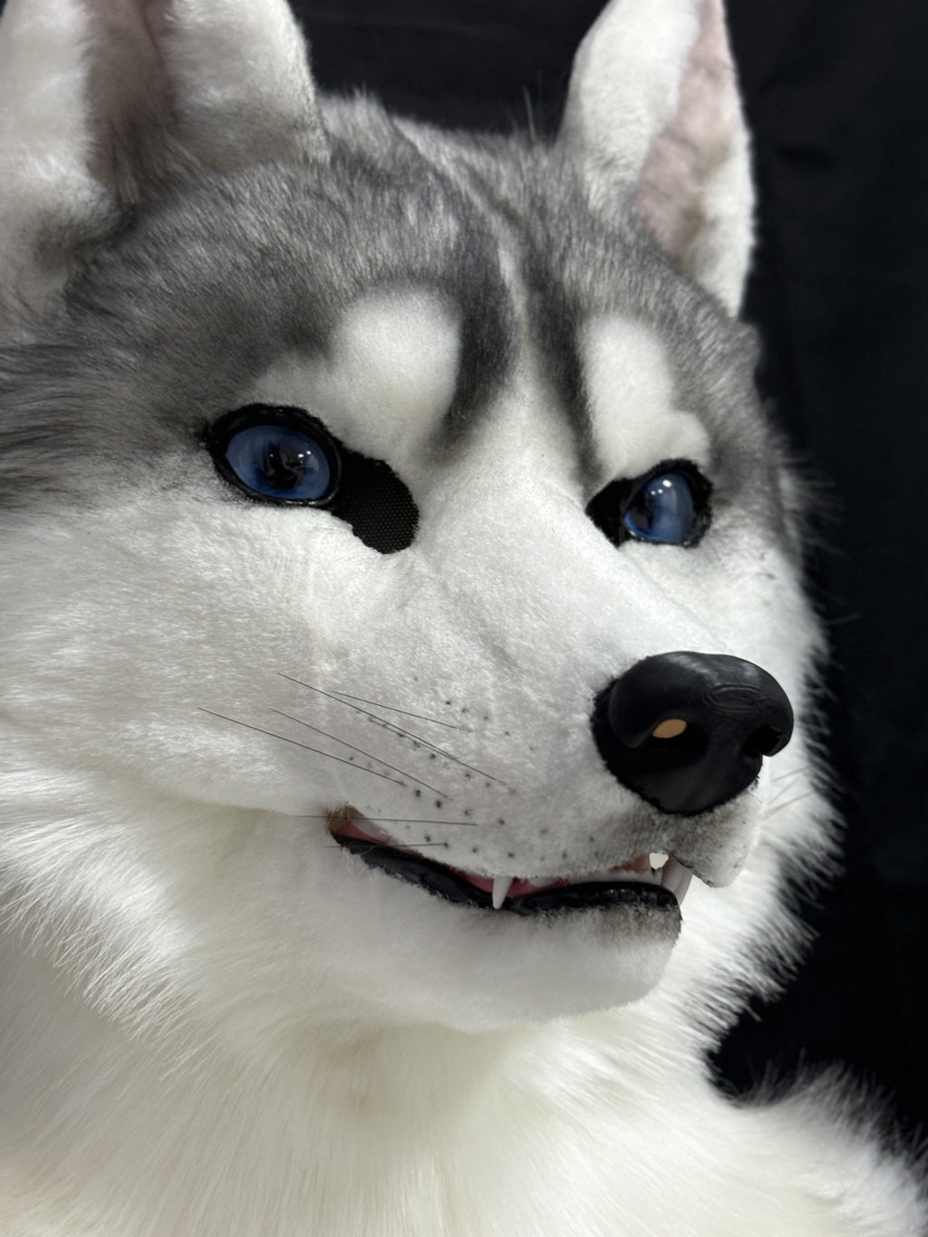 [Premade]Husky Dog Movable Jaw Realistic Fursuit Head Costumes Headdress