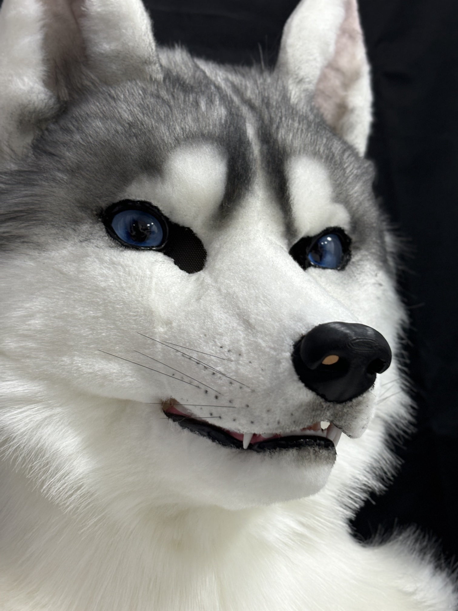 [Premade]Husky Dog Movable Jaw Realistic Fursuit Head Costumes Headdress