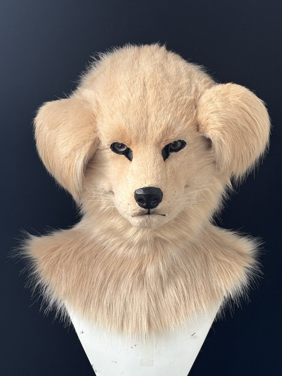 [Premade] Golden Retriever Realistic Fursuit Head Movable Jaw Headpiece Furry Costumes