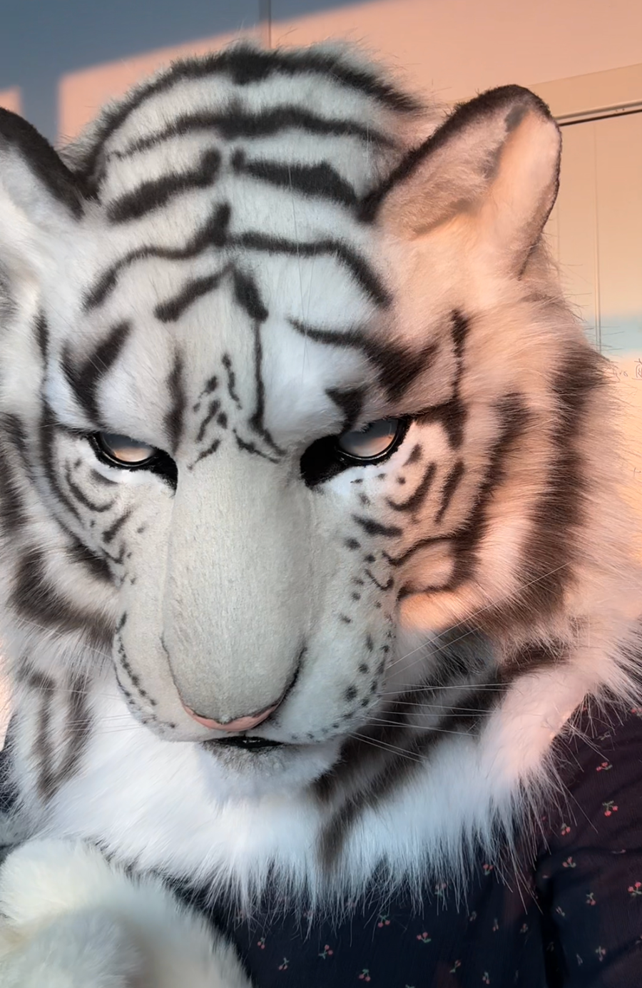 [Premade] White Tiger Realistic Fursuit Partial Movable Jaw Headpiece Furry Costumes