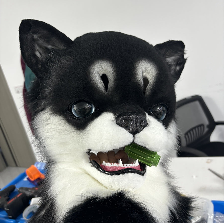[Premade] Chihuahua Realistic Dog Fursuit Head Movable Jaw