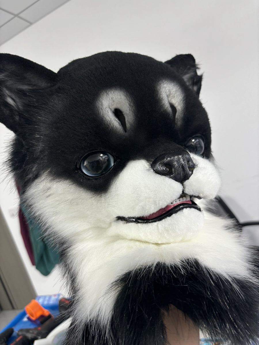 [Premade] Chihuahua Realistic Dog Fursuit Head Movable Jaw