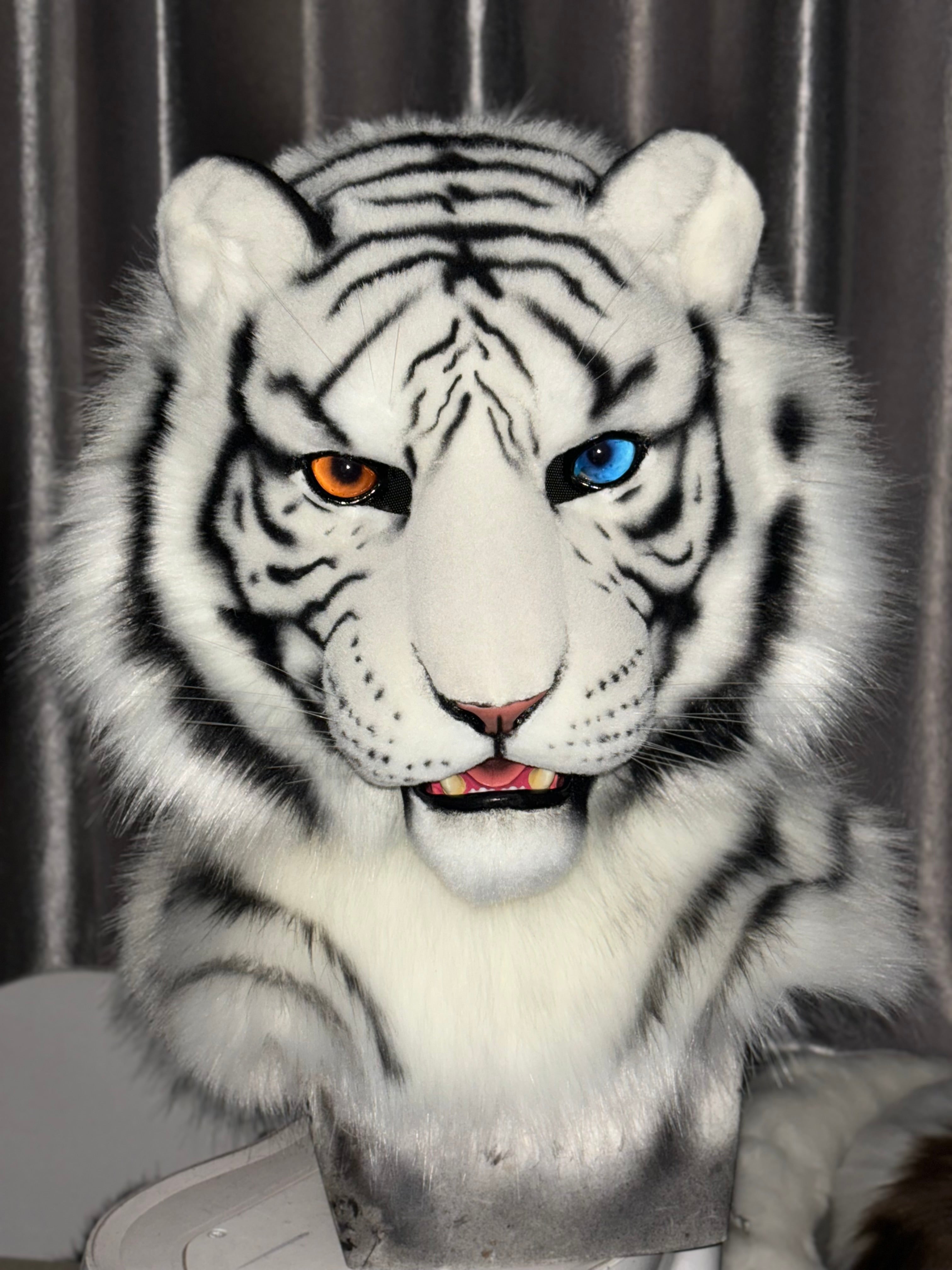 [Commission] White Tiger Realistic Fursuit Partial(blue eyes)