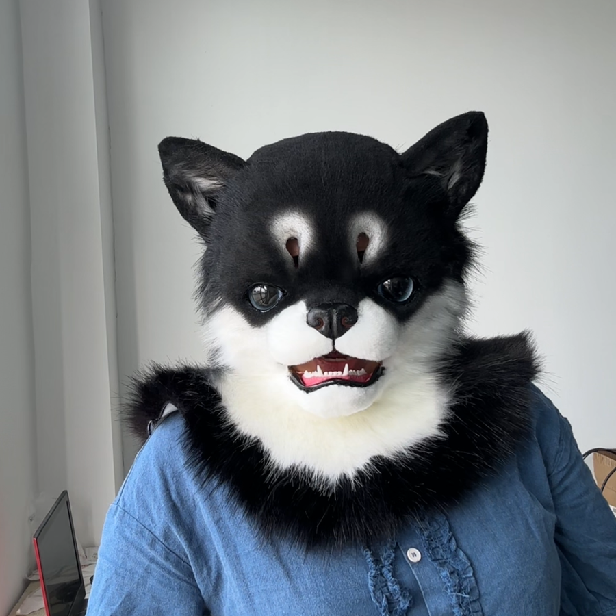 [Premade] Chihuahua Realistic Dog Fursuit Head Movable Jaw