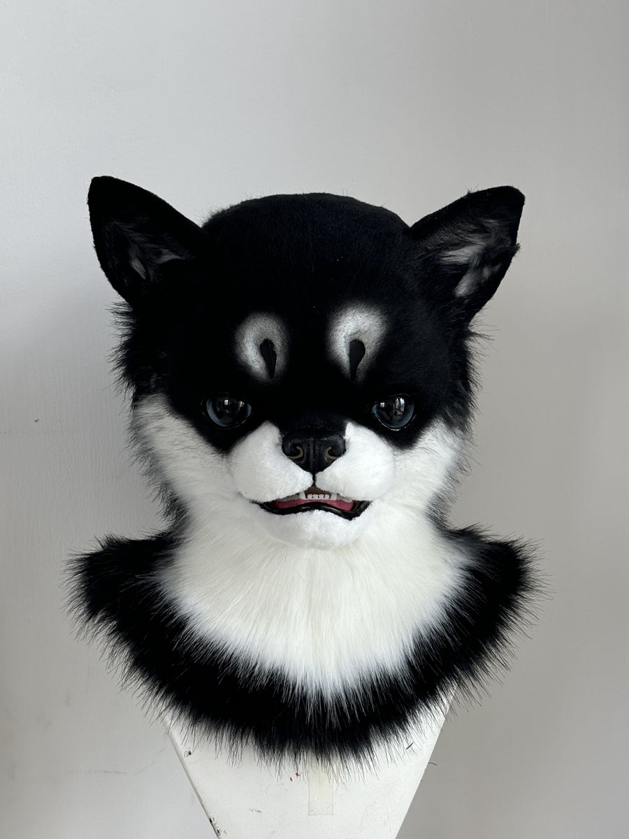 [Premade] Chihuahua Realistic Dog Fursuit Head Movable Jaw