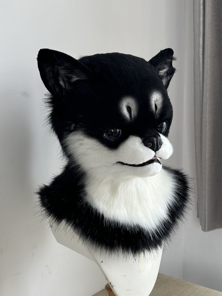 [Premade] Chihuahua Realistic Dog Fursuit Head Movable Jaw