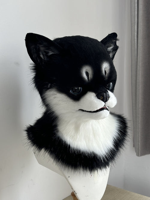 [Premade] Chihuahua Realistic Dog Fursuit Head Movable Jaw