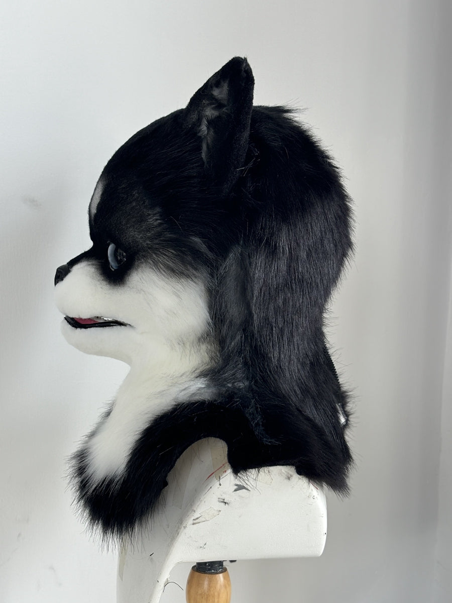 [Premade] Chihuahua Realistic Dog Fursuit Head Movable Jaw