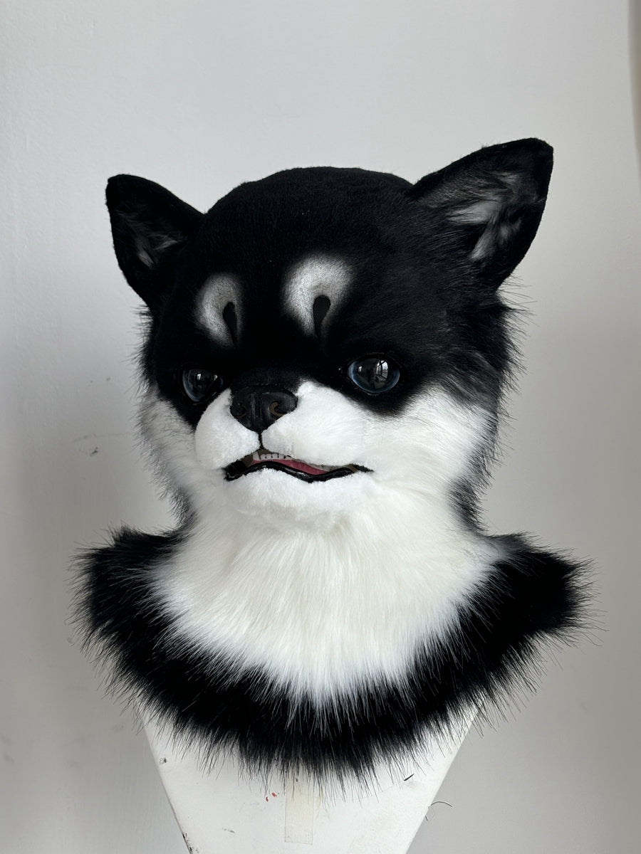 [Premade] Chihuahua Realistic Dog Fursuit Head Movable Jaw