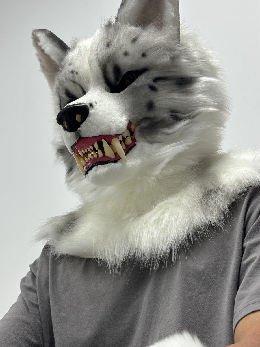 [Premade]Snarl Border Collie Dog Semi Realistic Fursuit Head and Paws Movable Jaw