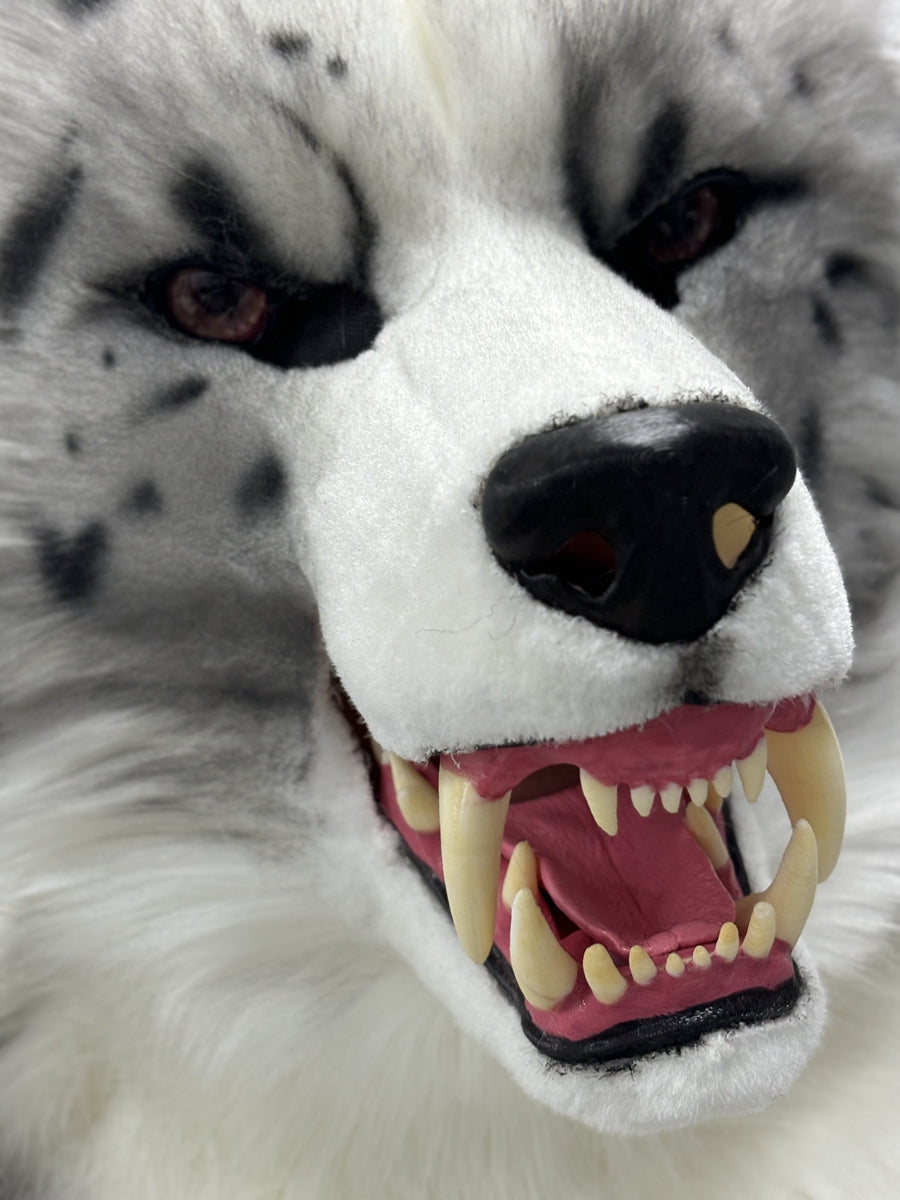 [Premade]Snarl Border Collie Dog Semi Realistic Fursuit Head and Paws Movable Jaw