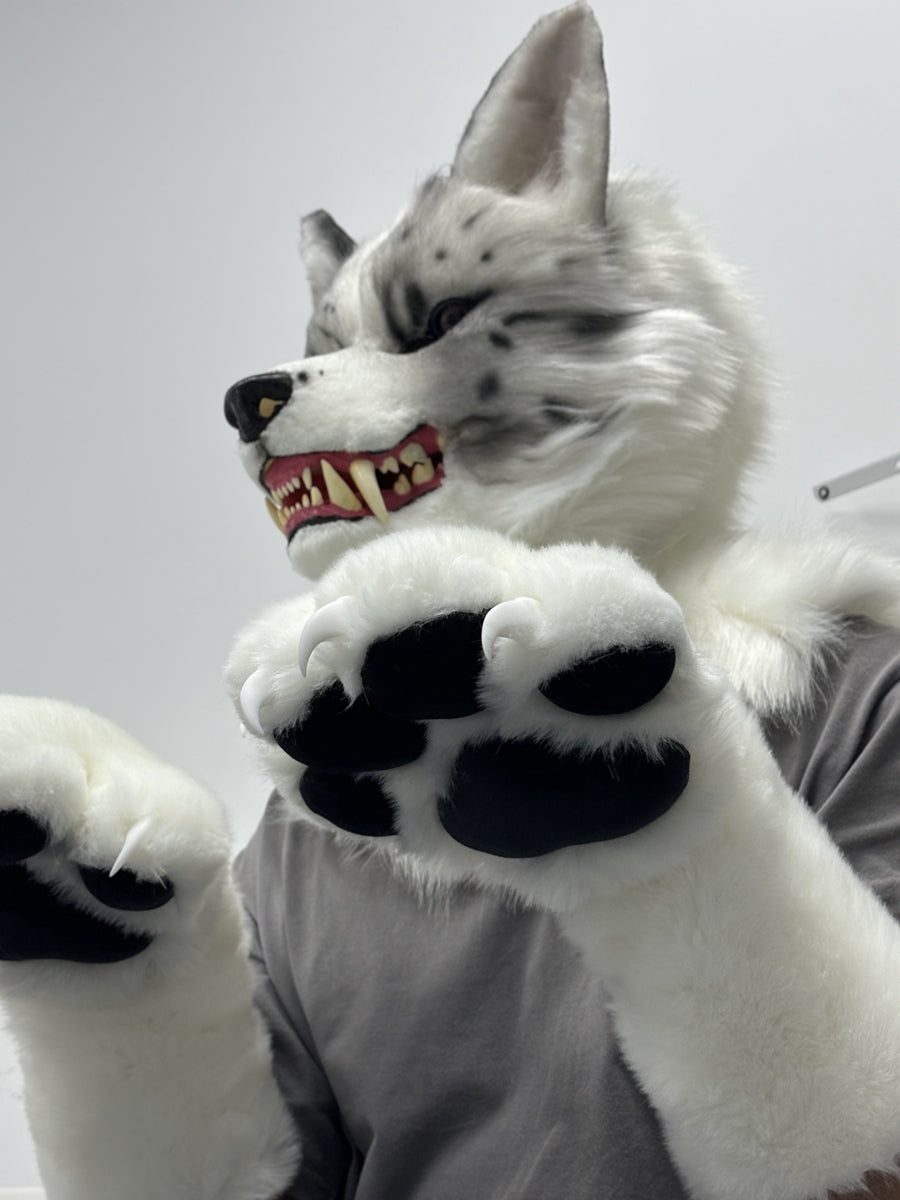 [Premade]Snarl Border Collie Dog Semi Realistic Fursuit Head and Paws Movable Jaw