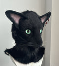 [Premade] Oriental Shorthair Cat Realistic Fursuit Head Movable Jaw