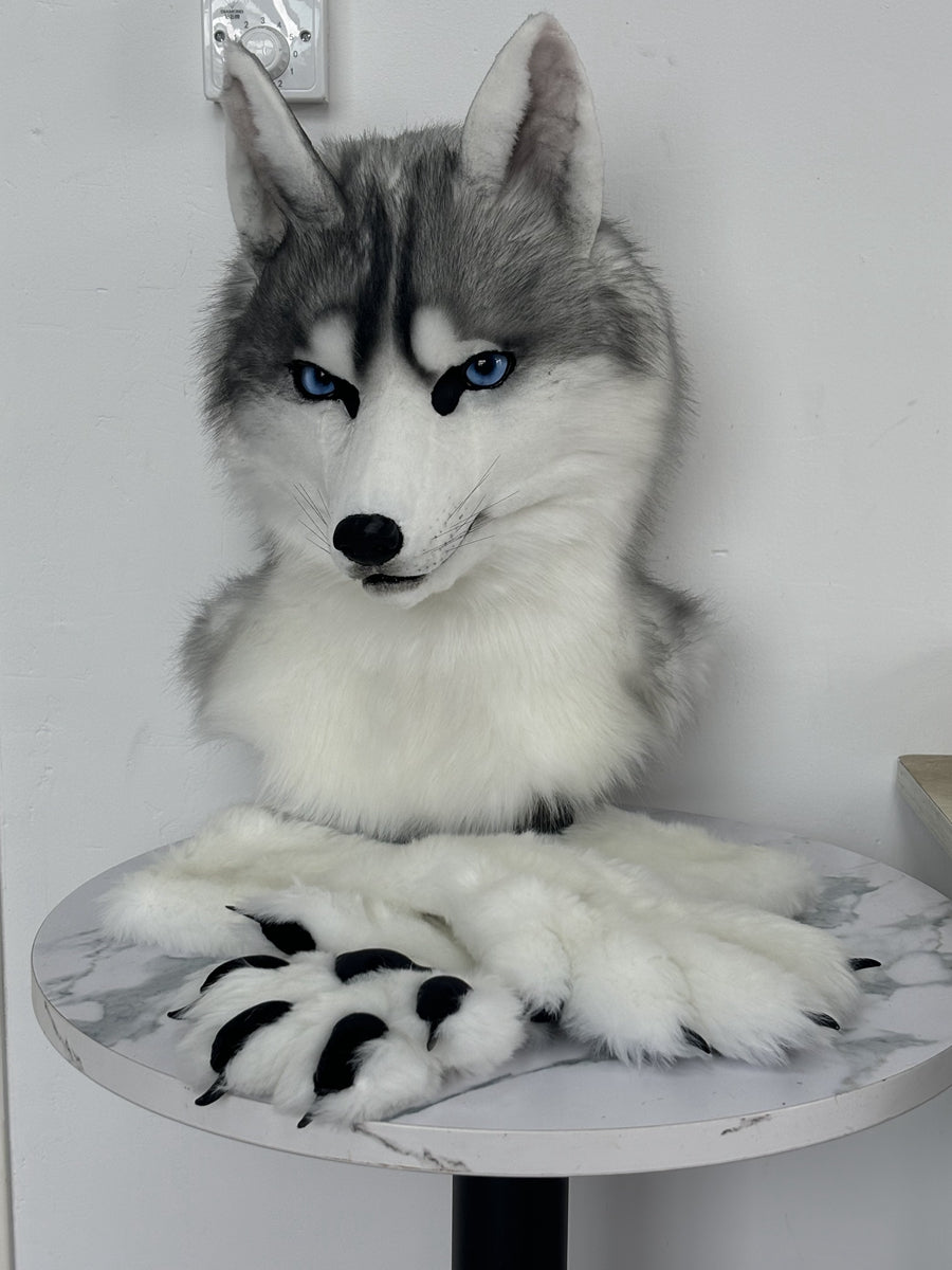 [Premade]Husky Dog Movable Jaw Realistic Fursuit Head and Paws Costumes Headdress