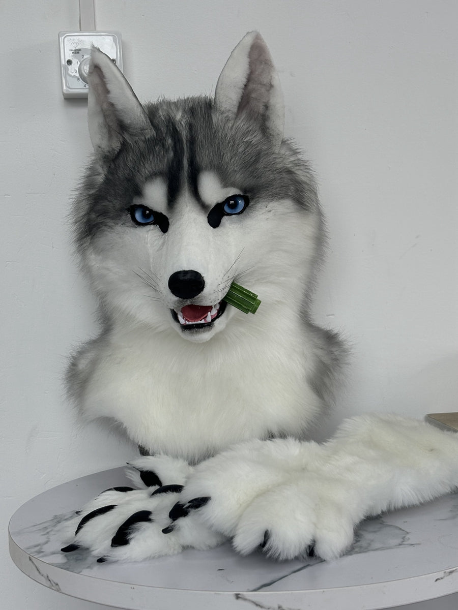 [Premade]Husky Dog Movable Jaw Realistic Fursuit Head and Paws Costumes Headdress