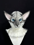 [Premade] Oriental Shorthair Cat Realistic Fursuit Head Movable Jaw