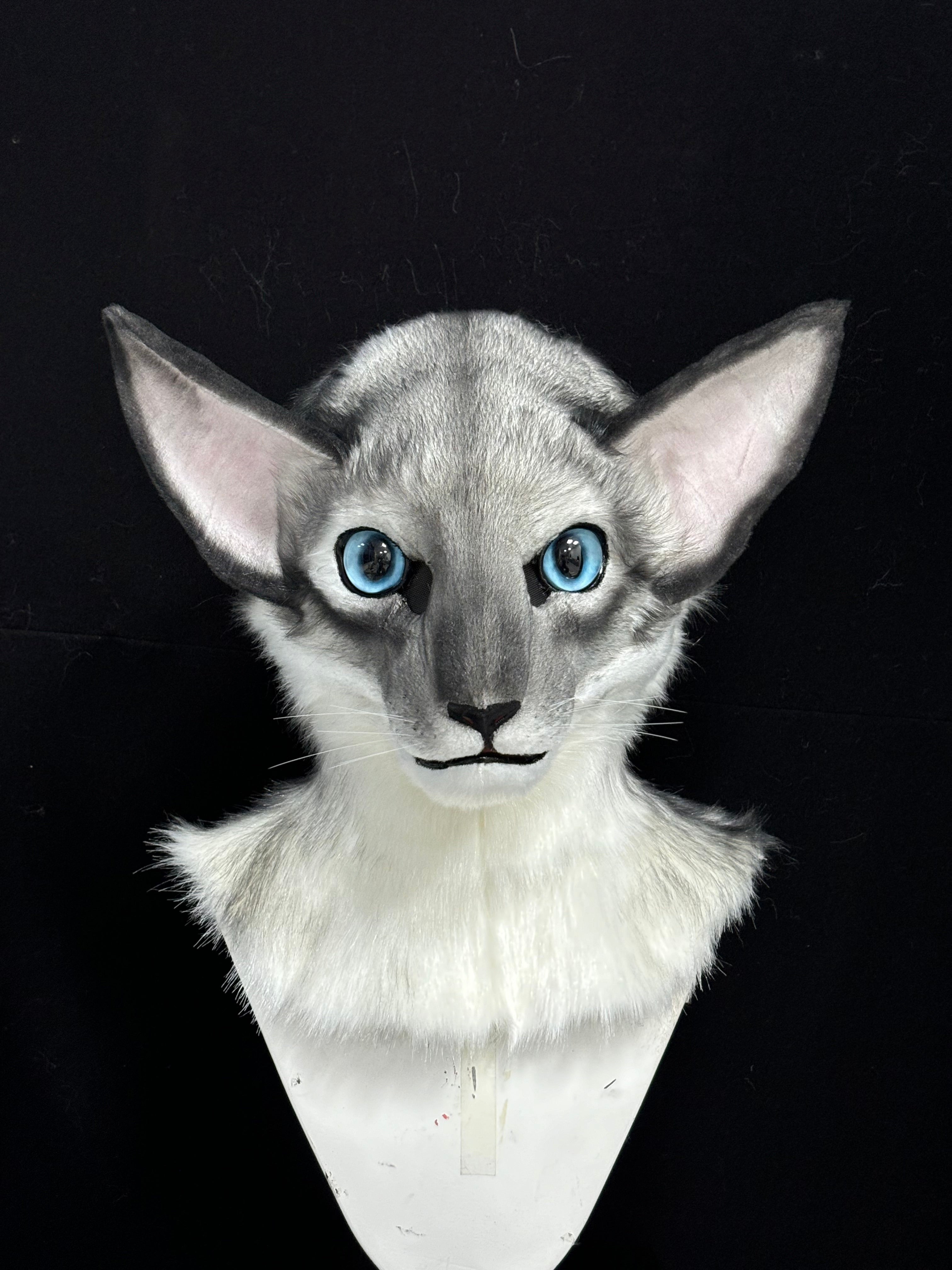 [Premade] Oriental Shorthair Cat Realistic Fursuit Head Movable Jaw
