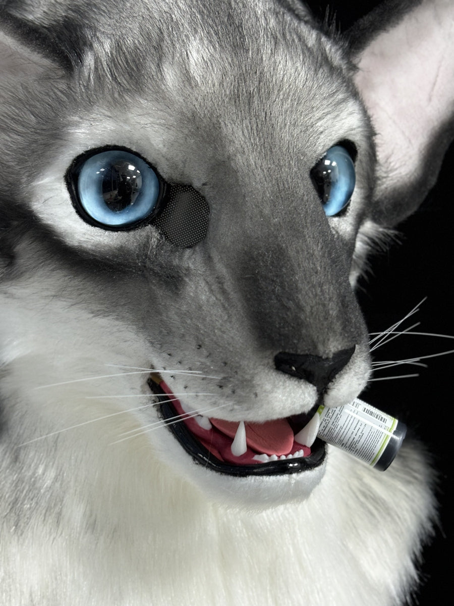[Premade] Oriental Shorthair Cat Realistic Fursuit Head Movable Jaw