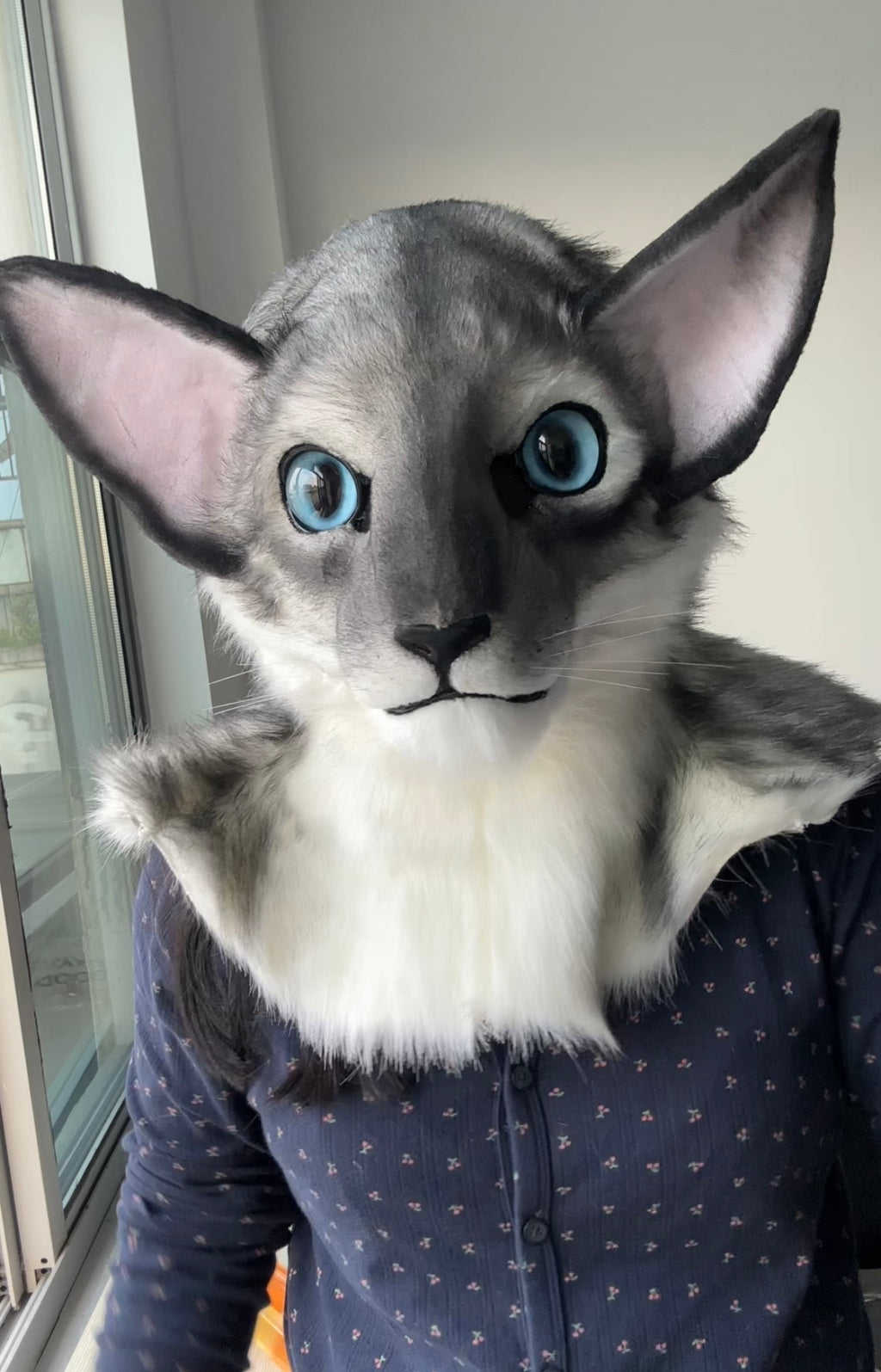 [Premade] Oriental Shorthair Cat Realistic Fursuit Head Movable Jaw