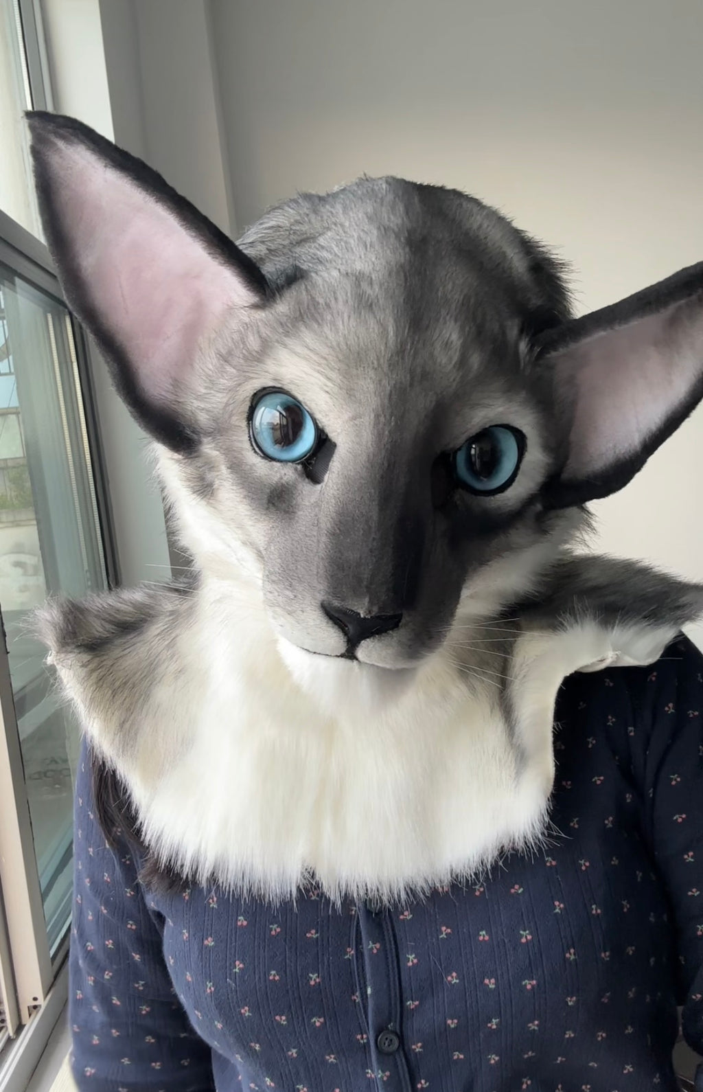 [Premade] Oriental Shorthair Cat Realistic Fursuit Head Movable Jaw