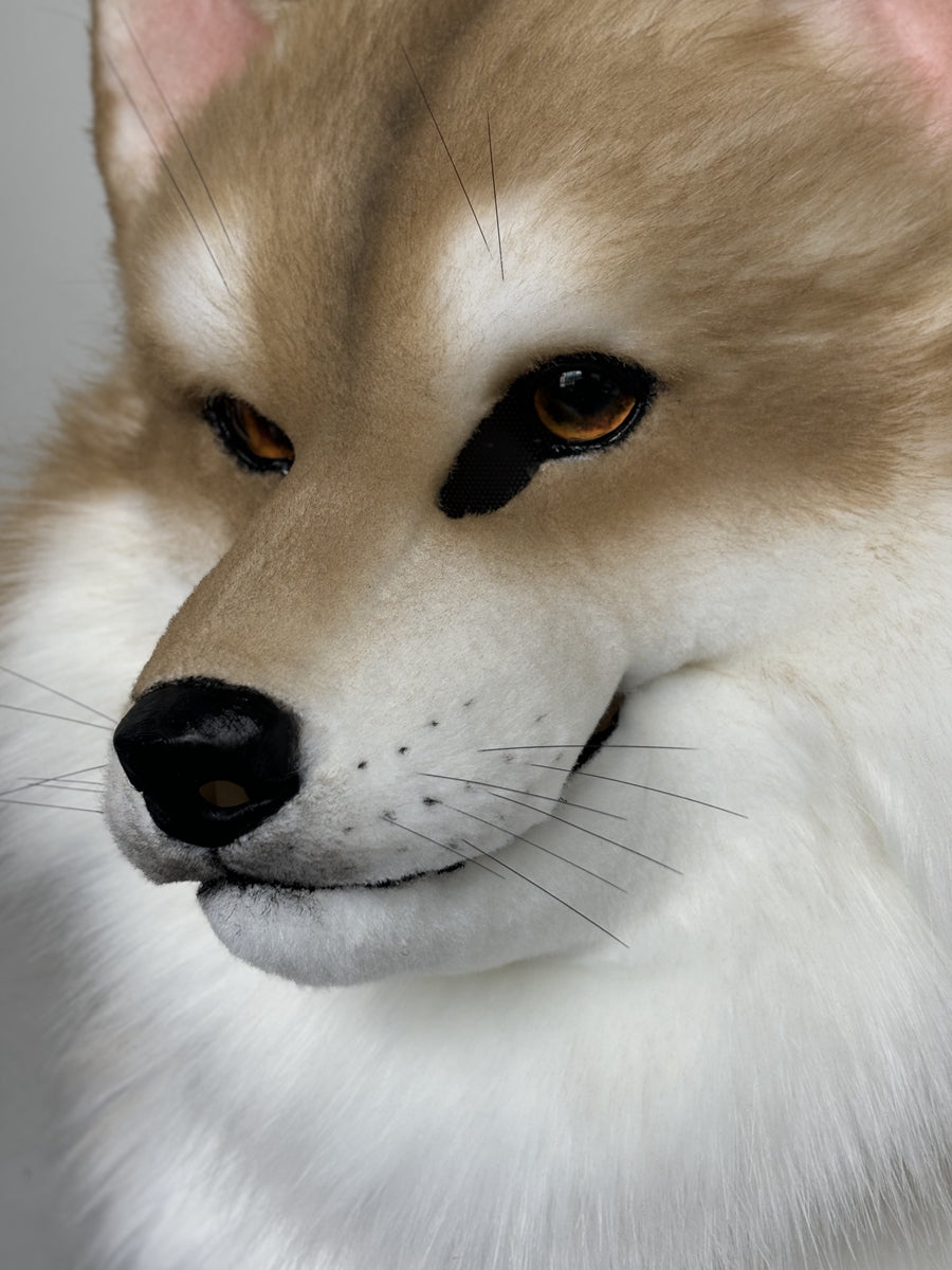 [Premade] Dog Realistic Fursuit Head Movable Jaw Furry Headdress Costumes