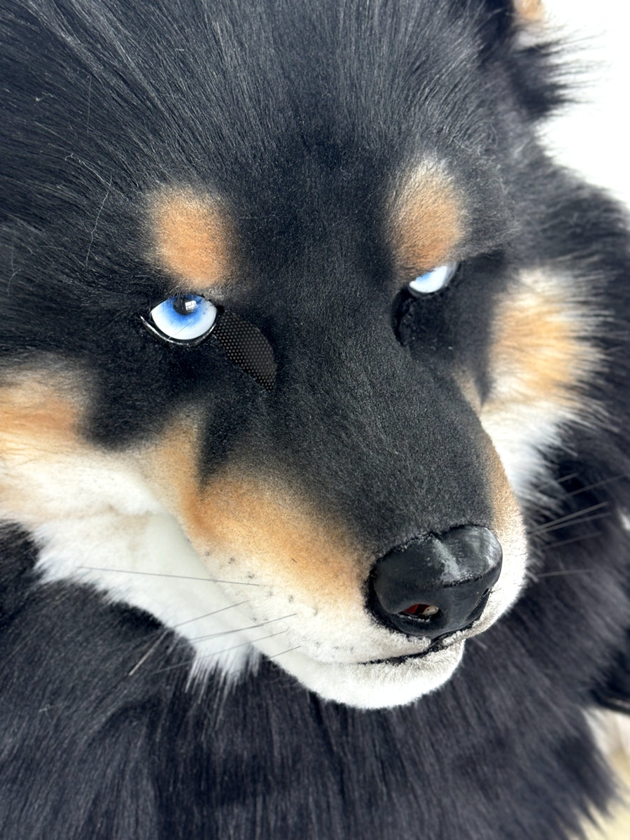 [Premade] Movable Jaw Realistic Dog Fursuit Head