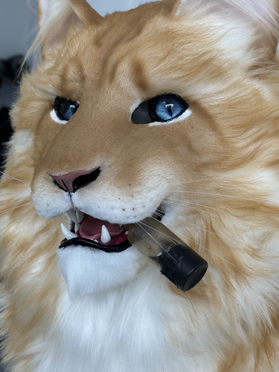 [Premade] Maine Coon Cat Realistic Fursuit Head Movable Jaw