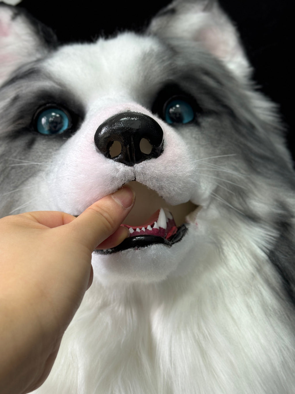 [Premade] Border Collie Dog Realistic Fursuit Head Furry Costumes Mask Headdress