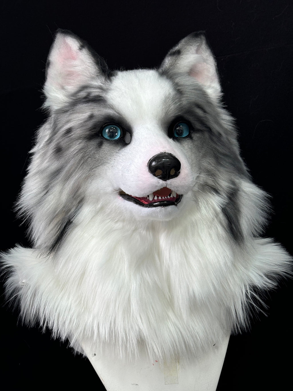 [Premade] Border Collie Dog Realistic Fursuit Head Furry Costumes Mask Headdress