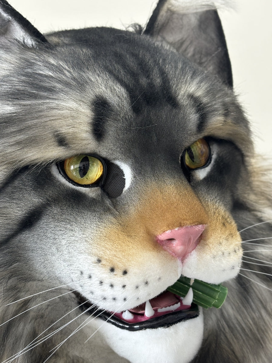 [Premade] Maine Coon Cat Realistic Fursuit Head Movable Jaw