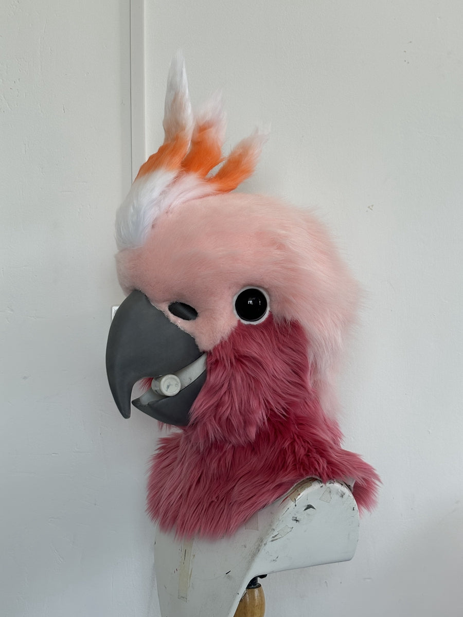 [Premade] Cockatoo Realistic Fursuit Head Furry Costumes Birds Mask Headdress