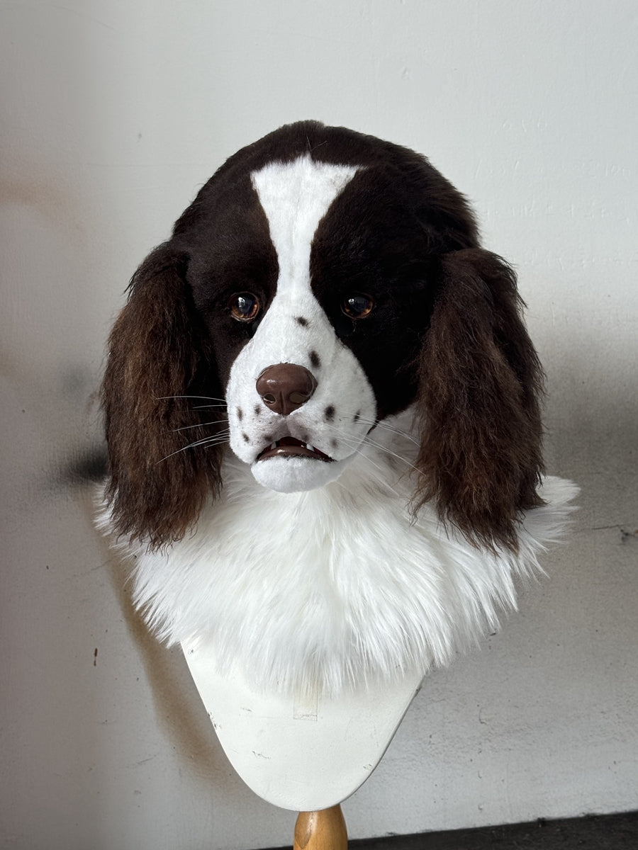 [Premade] Springer Spaniel Realistic Fursuit Head Movable Jaw Furry Headdress