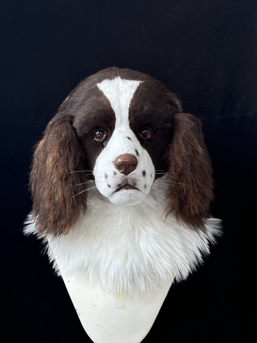 [Premade] Springer Spaniel Realistic Fursuit Head Movable Jaw Furry Headdress
