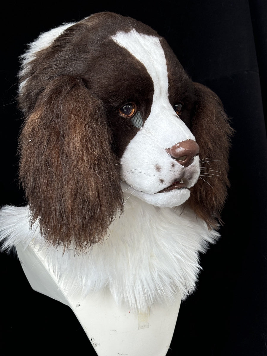 [Premade] Springer Spaniel Realistic Fursuit Head Movable Jaw Furry Headdress