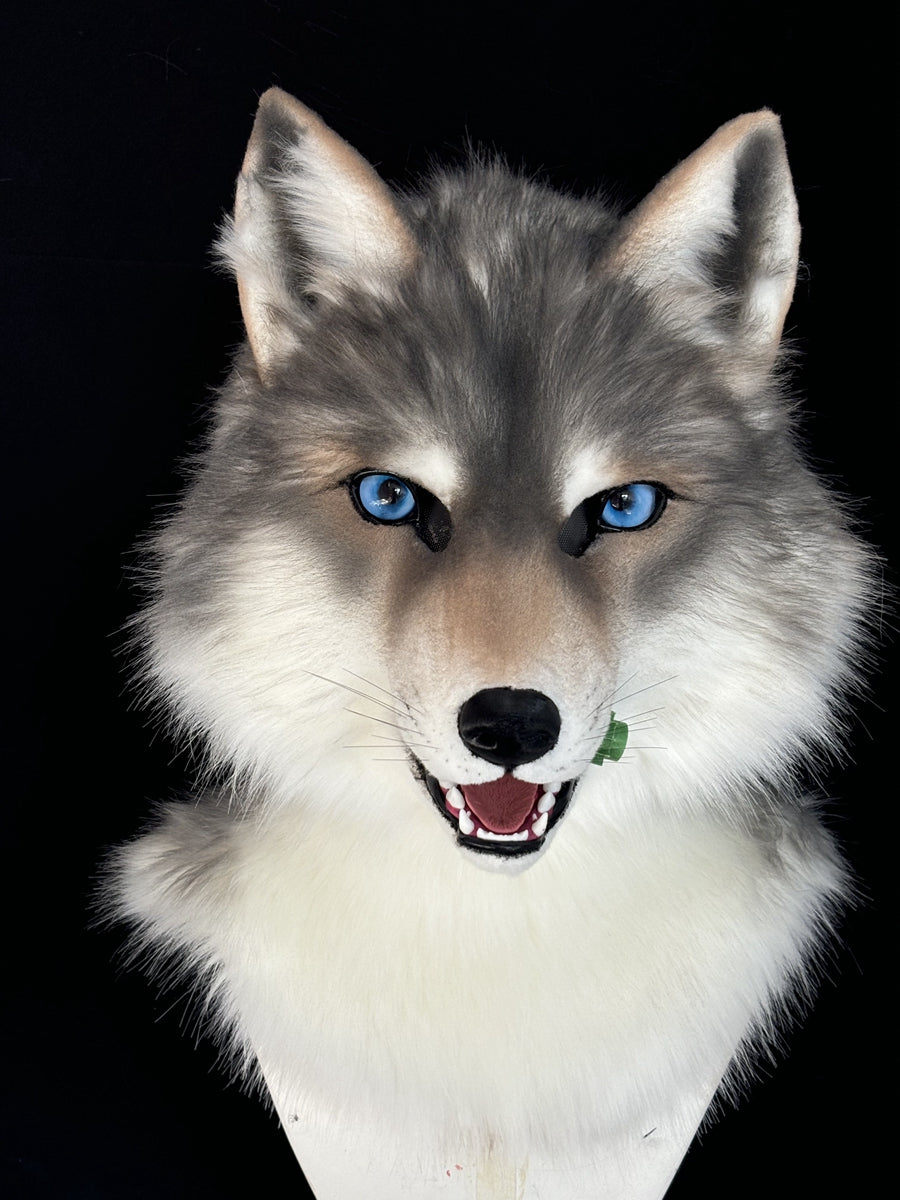 [Premade] Wolf Realistic Fursuit Head Movable Jaw Furry Headdress