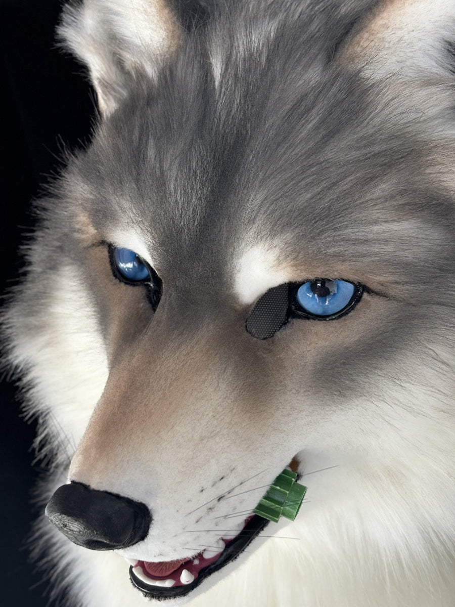 [Premade] Wolf Realistic Fursuit Head Movable Jaw Furry Headdress