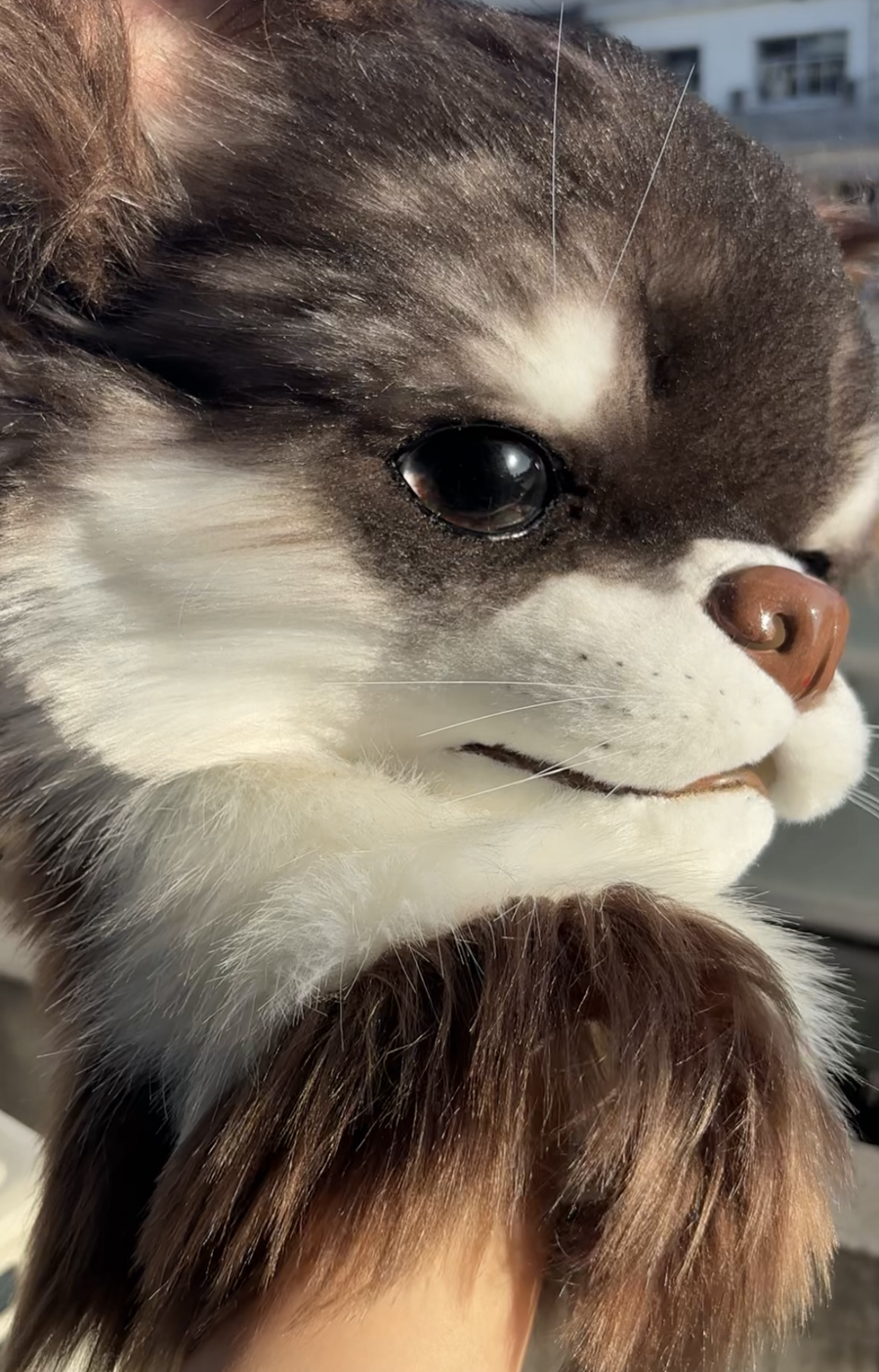 [Premade] Chihuahua Realistic Fursuit Head Furry Costumes Dog Mask Headdress