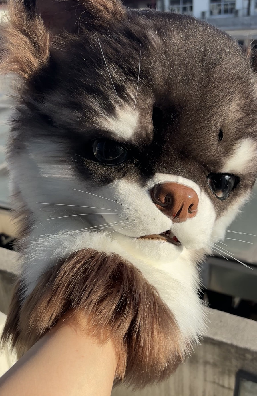 [Premade] Chihuahua Realistic Fursuit Head Furry Costumes Dog Mask Headdress