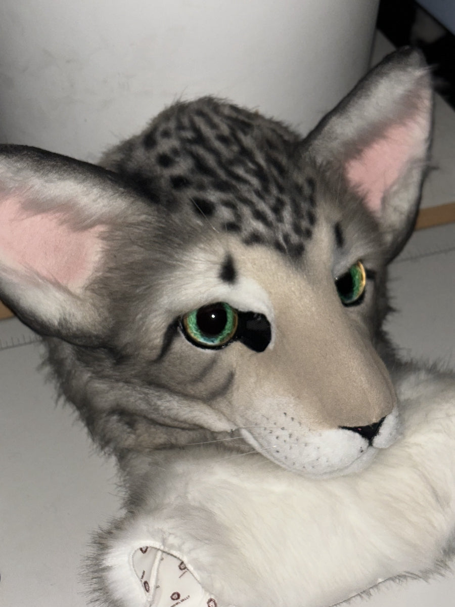 [Premade] Oriental Shorthair Cat Realistic Fursuit Head Movable Jaw