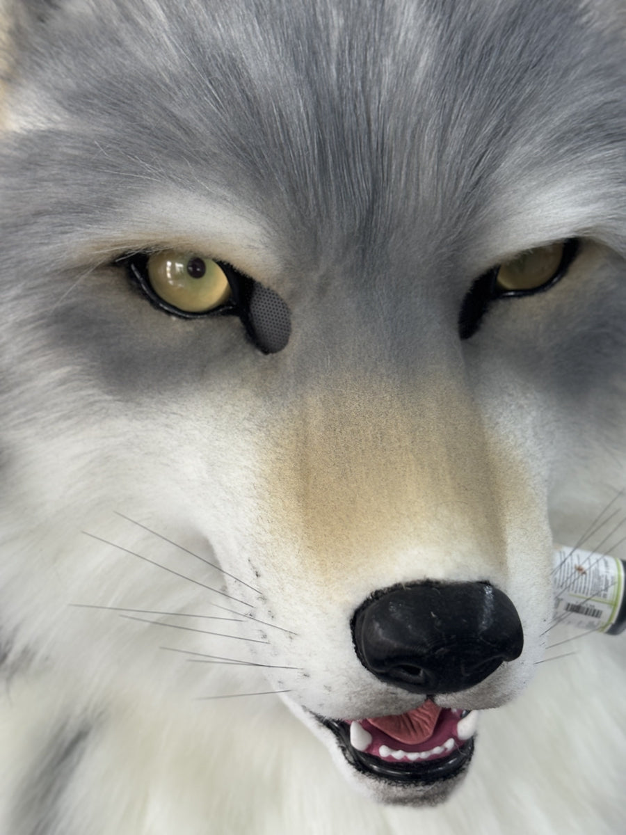 [Premade] Gray Wolf Realistic Fursuit Head Movable Jaw Werewolf Mask