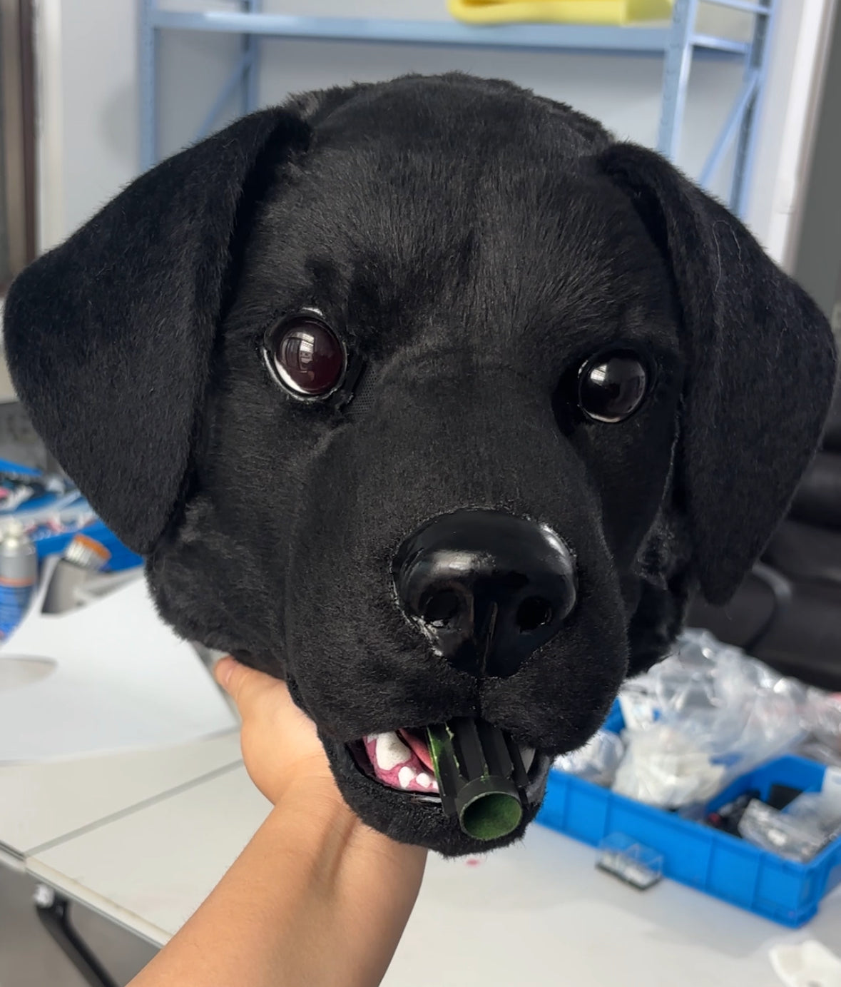 [Premade] Labrador Retriever Realistic Fursuit Head
