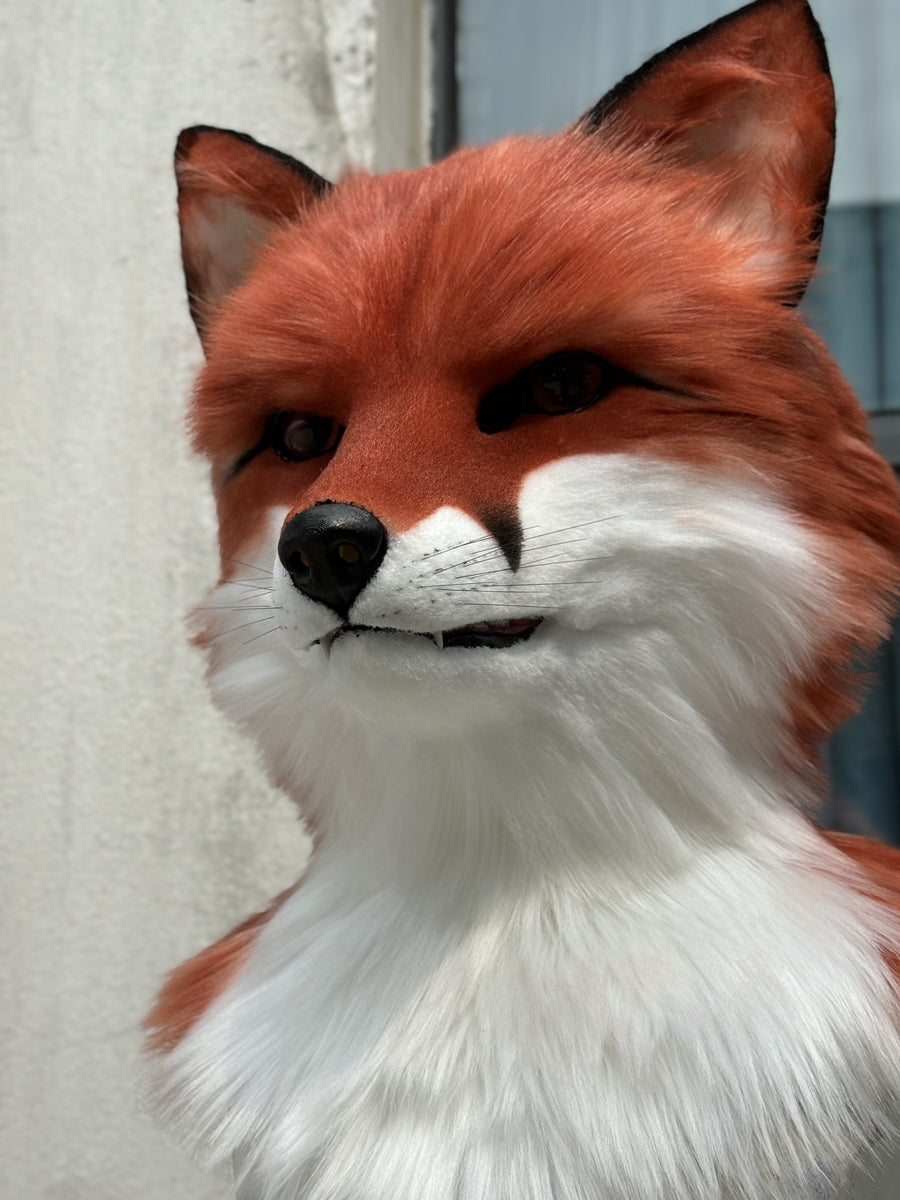 [Premade] Red Fox Realistic Fursuit Head Movable Jaw