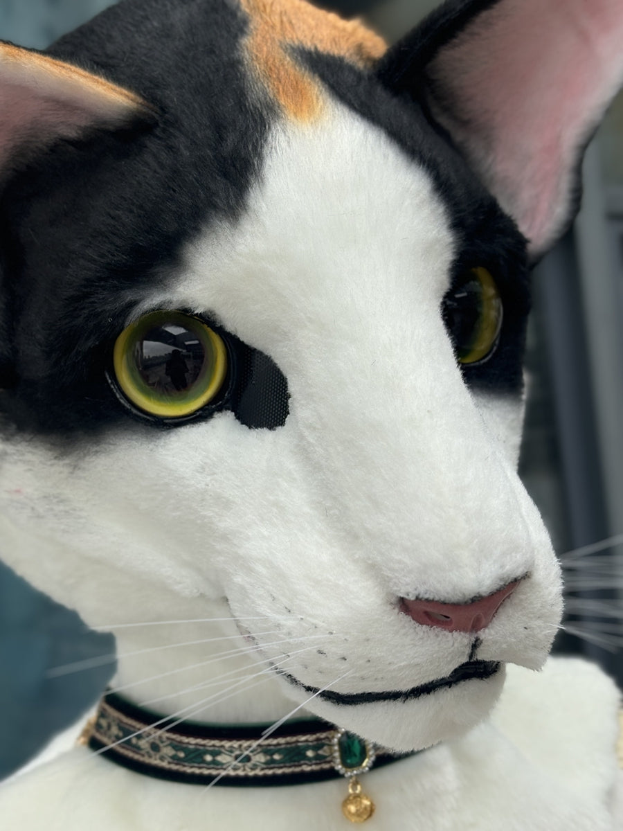 [Premade] Oriental Shorthair Cat Realistic Fursuit Head Movable Jaw